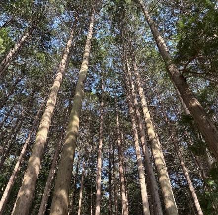 한국인의밥상-남해-창선도-토피아랜드