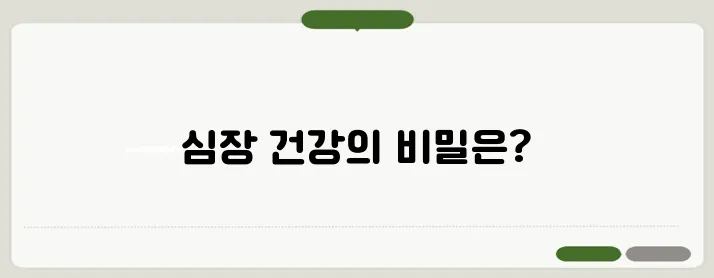 심장석회화 CT 칼슘 스코어링 검사 완벽 가이드
