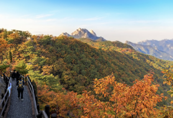 대한민국 숙박세일 페스타 꿀정보 모음