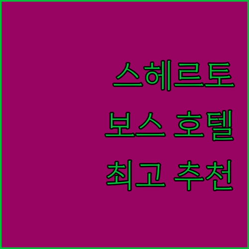 더 세인츠 호텔, 스헤르토헨보스의 숨..