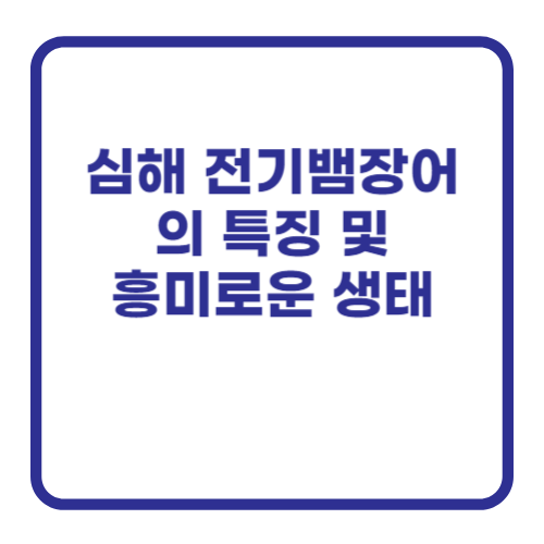 심해 전기뱀장어의 특징 및 흥미로운 생태