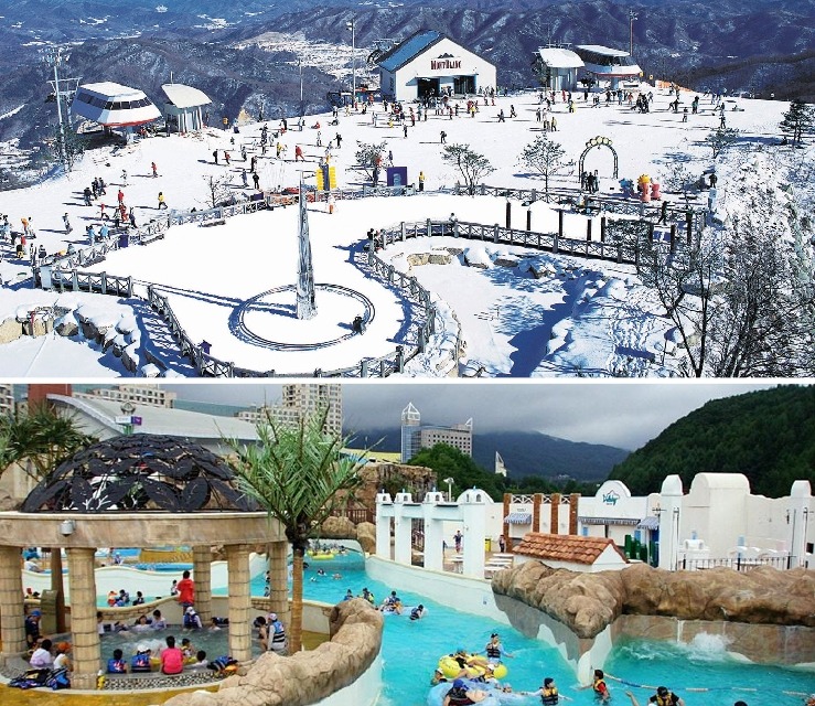 ํ์ฐฝ ์์ฐํด์๋ฆผ ์ฃผ๋ณ ๋ง์ง ์นดํ ๋งํธ ์ ํต์์ฅ ์ค์ผ์ฅ ํน์ฐ๋ฌผ ์์ธ ๊ฐ์์ง ๋๋ฐ ์ ๋ณด