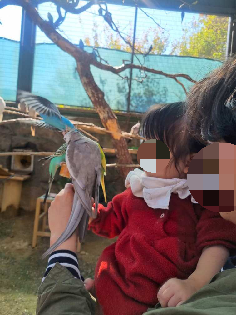 패럿하우스 플레이타임