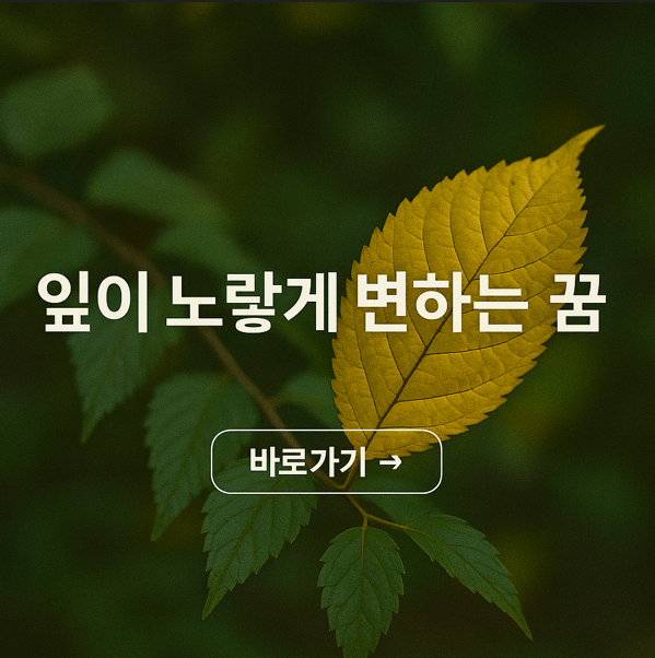 잎이 노랗게 변하는 꿈