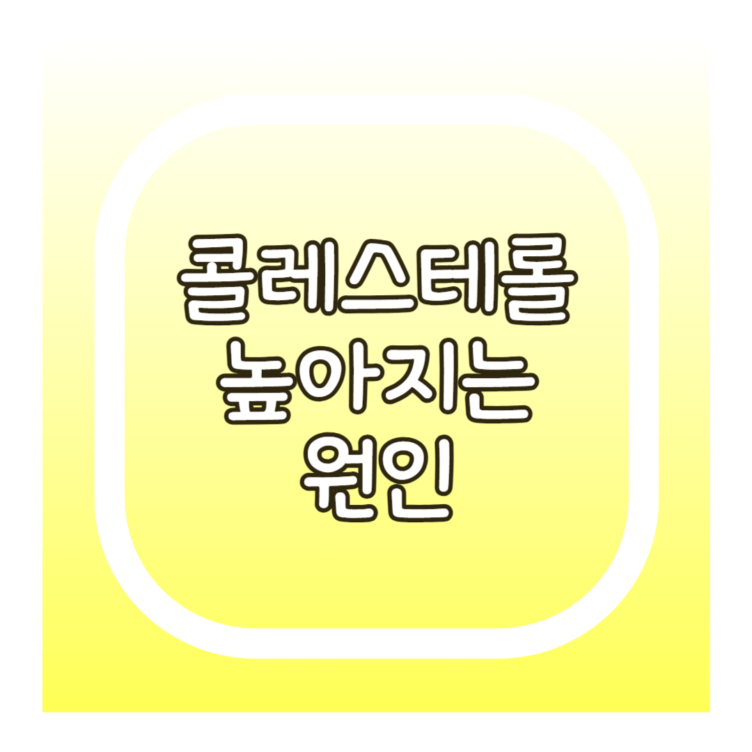 콜레스테롤 원인