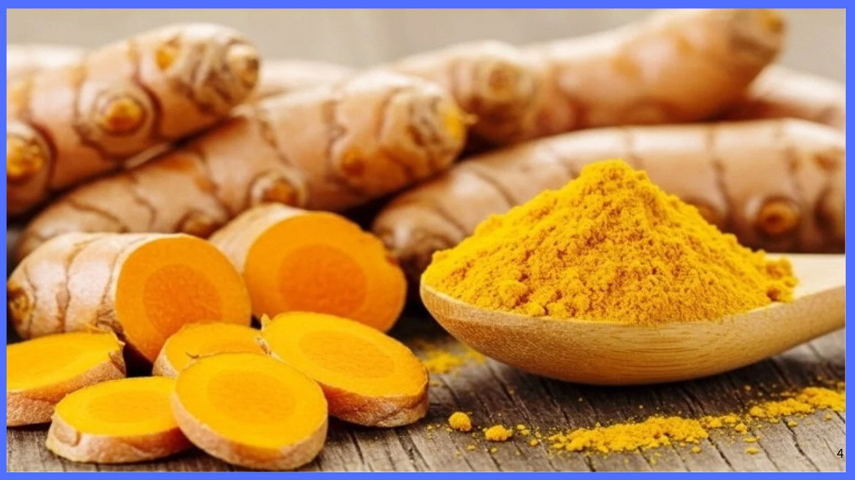 울금 강황 뿌리와 분말, 커큐민이 풍부한 천연 항염 항산화 식품