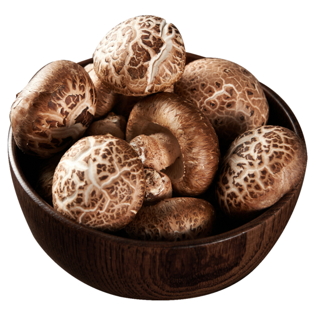 골다공증과 관련된 사진입니다.