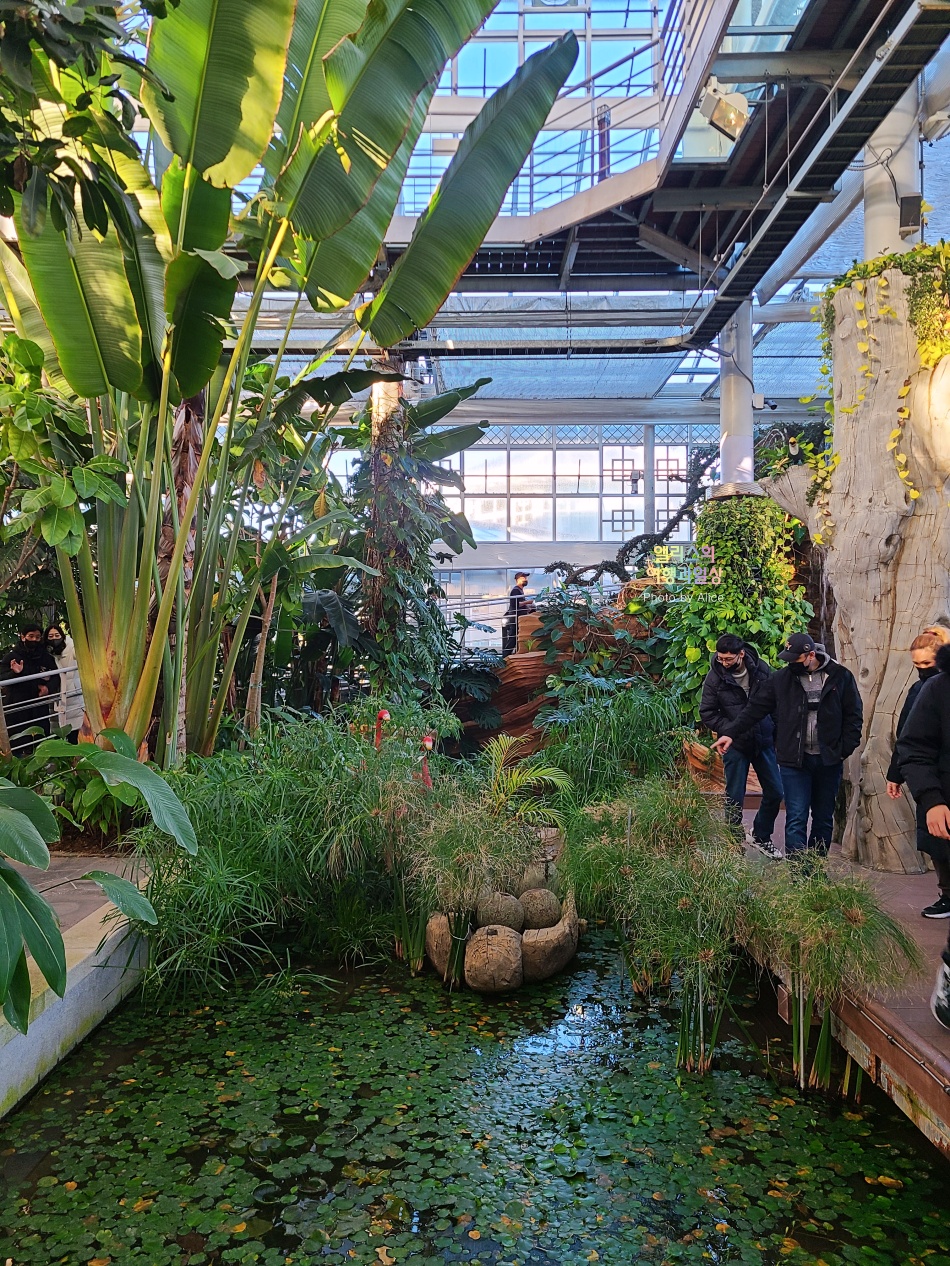 경주 동궁원 식물원 스카이워크 경주 가볼만한곳