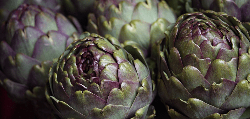 아티초크 사진