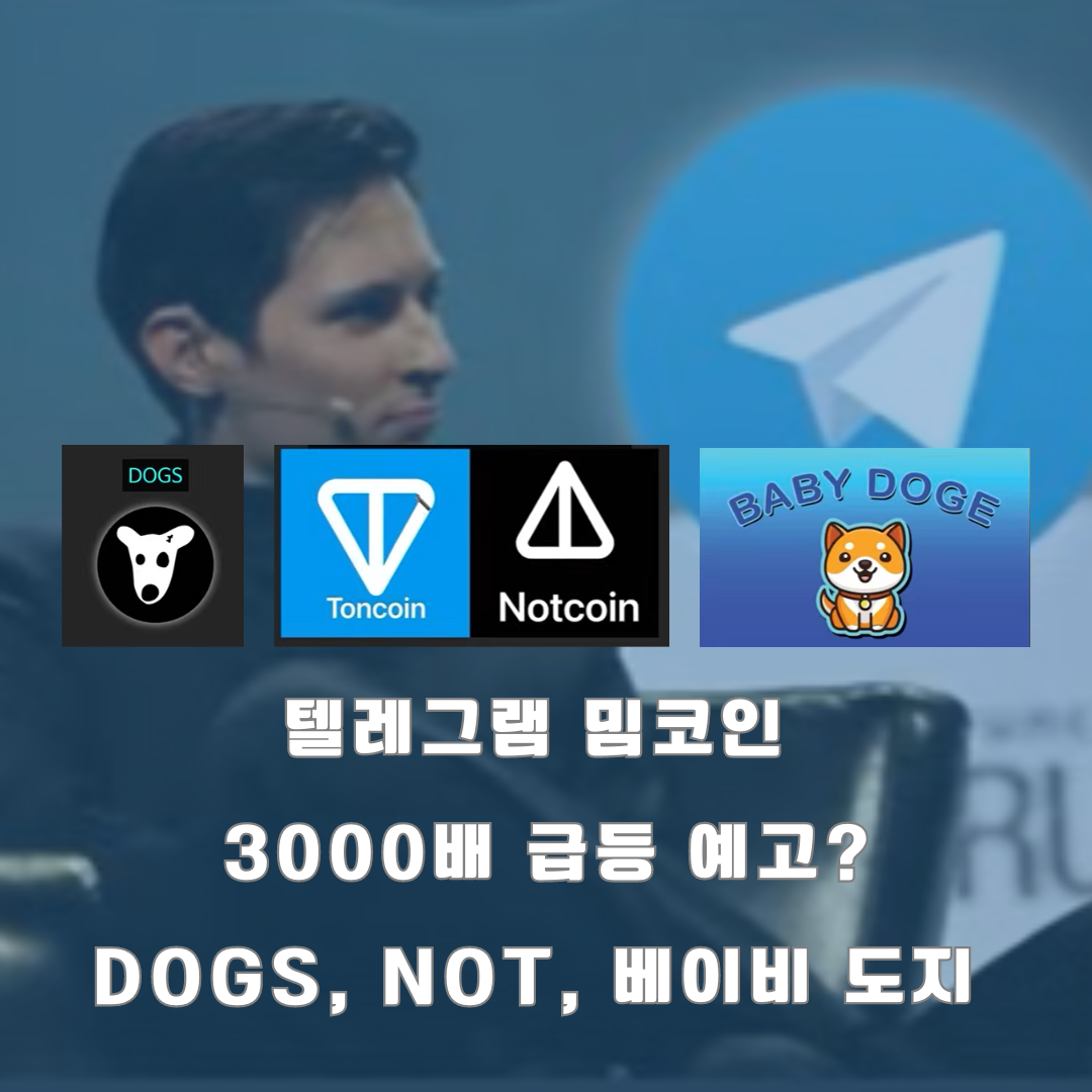 3000배 폭등 예상! 텔레그램 관련 밈코인, DOGS 코인, NOT 코인, 베이비 도지 코인 급등 근거