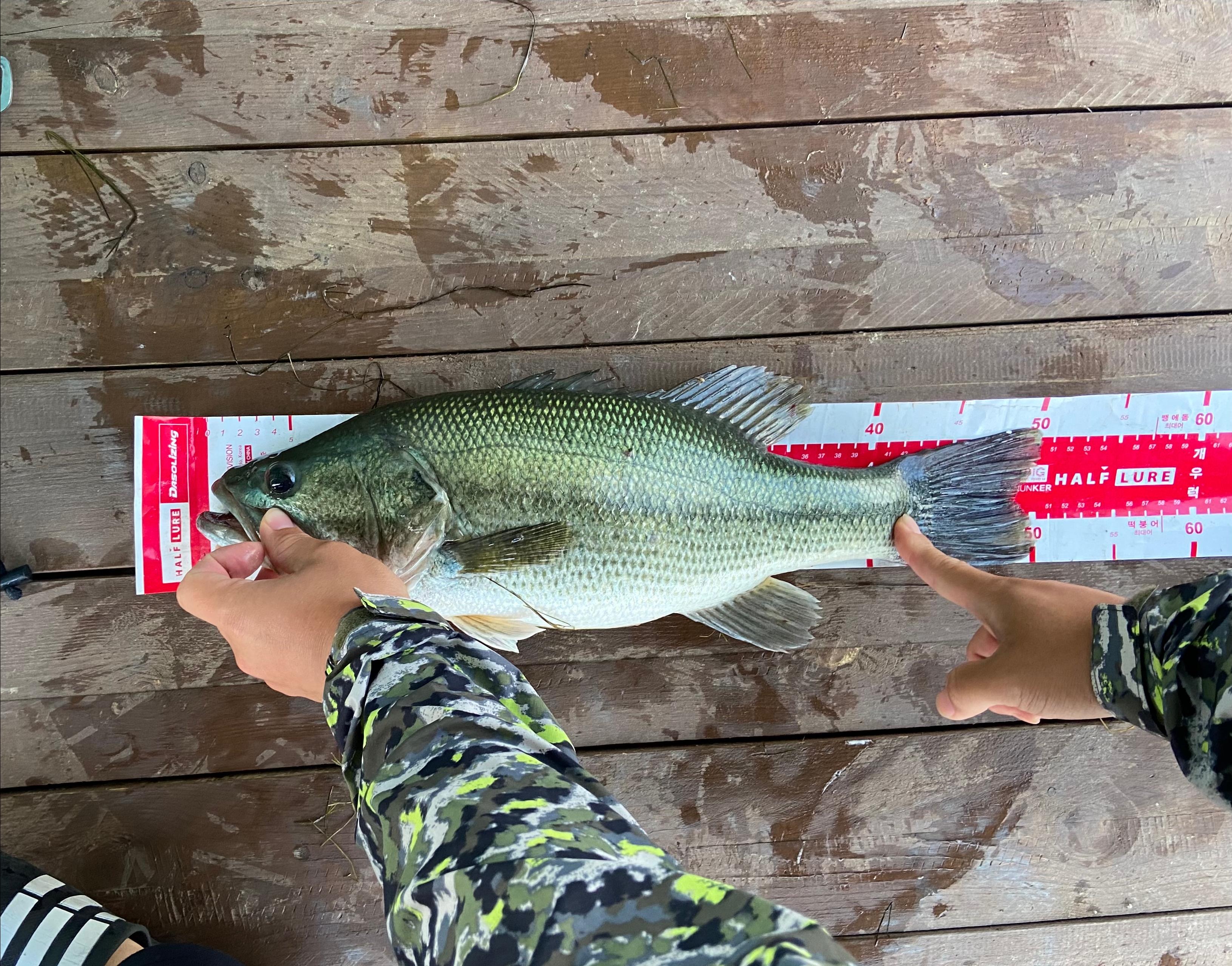 런커 배스 사진