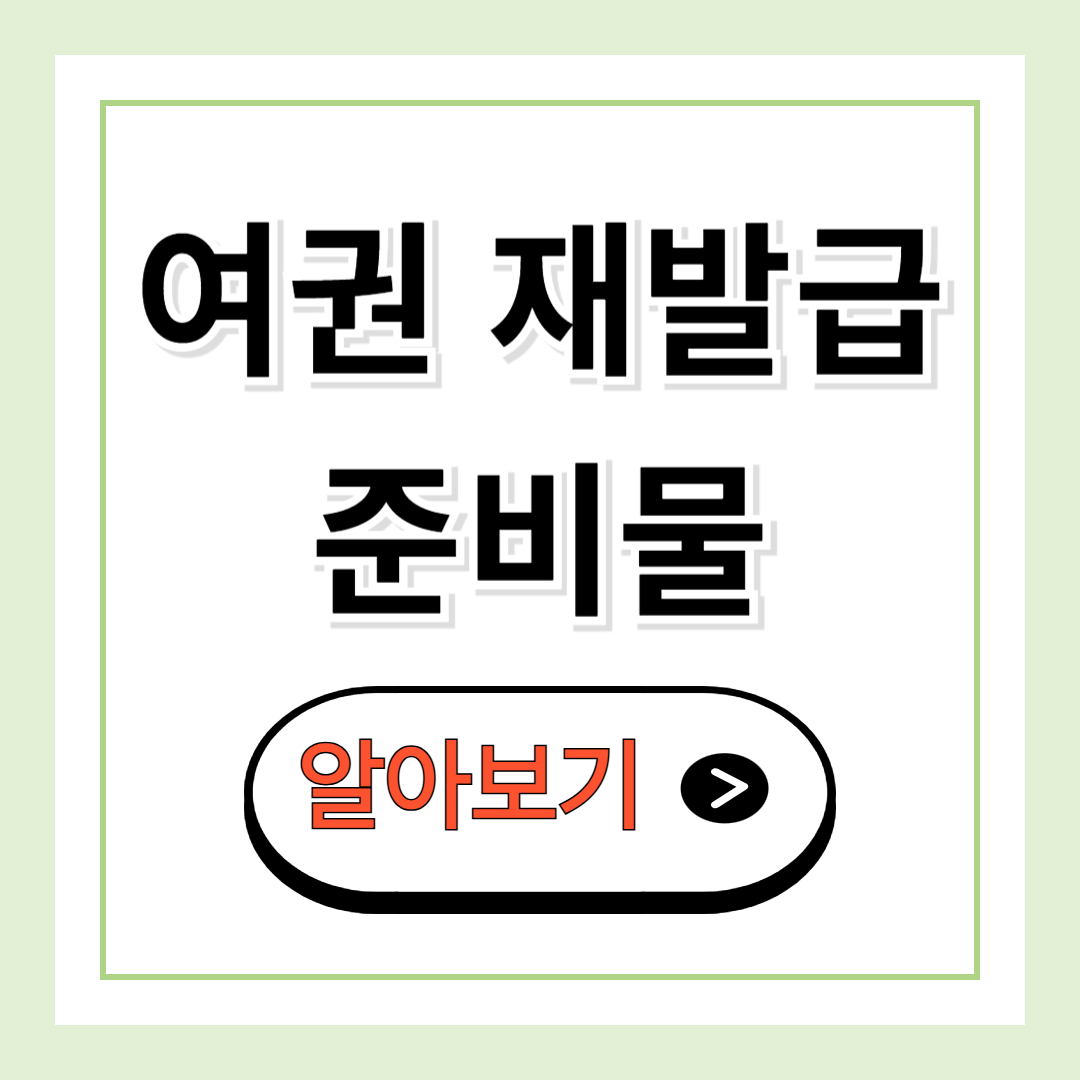 여권 재발급 준비물