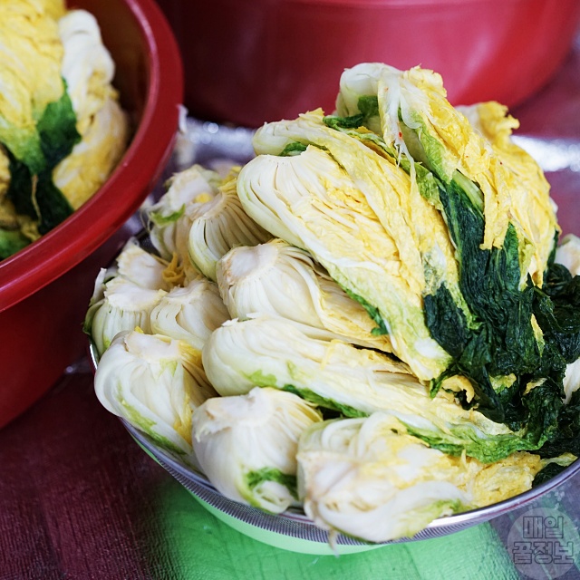 맛있는 김장배추 고르는법,절임배추 고르기 가격,김장 김치,김치냉장고