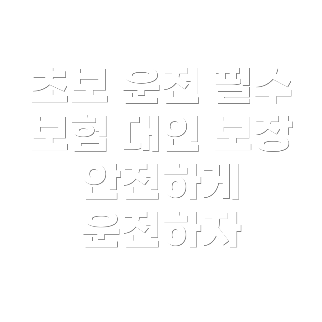 자동차 보험 대인 상해 보장