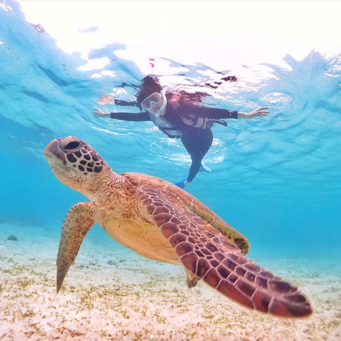 미야코지마 스노쿨링 02