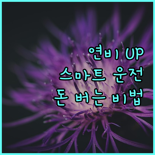 내 차 연비 올리는 방법 스마트 운전