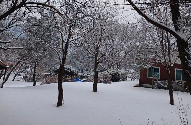 남양주 휴림캠핑장 소개