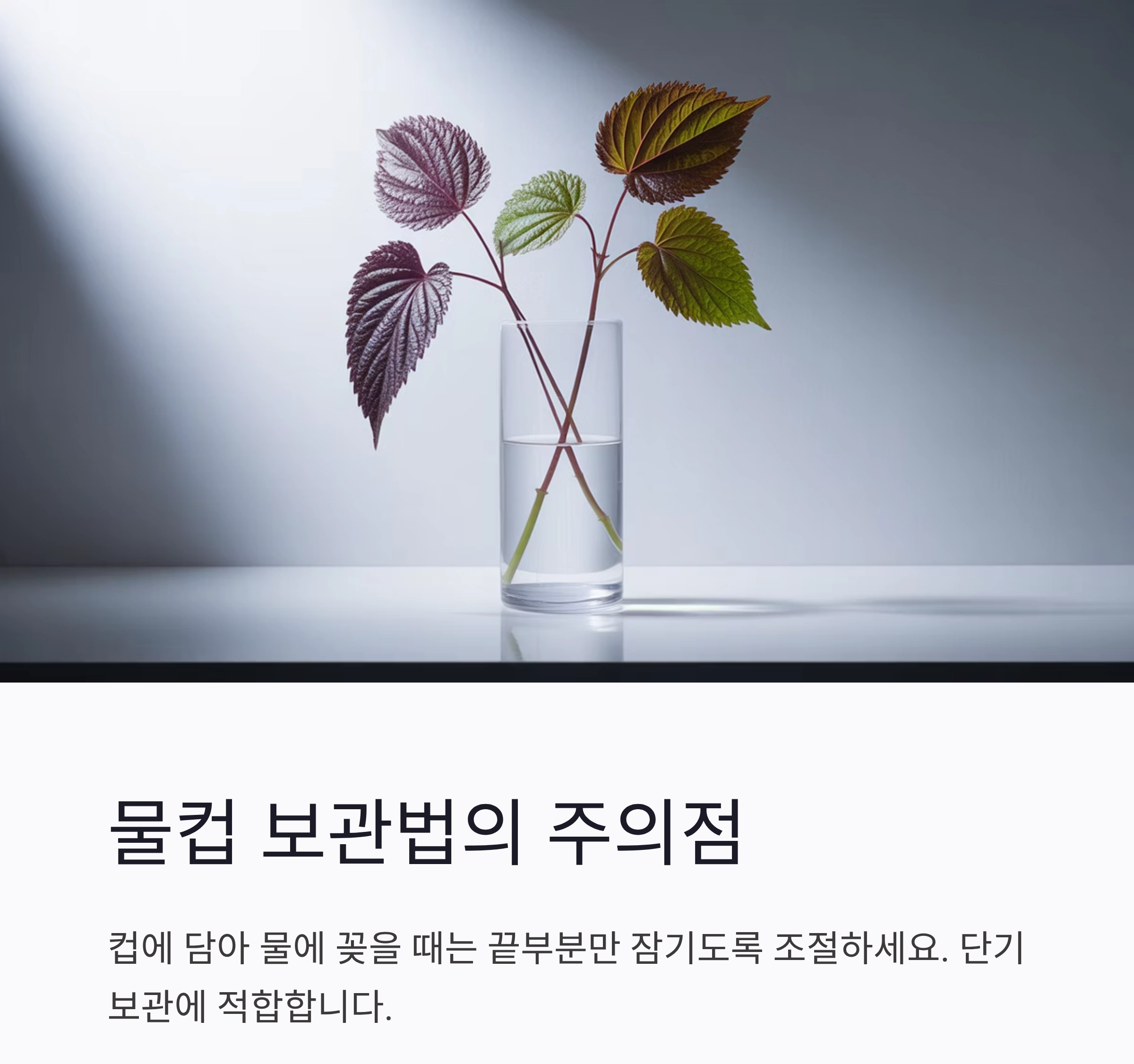깻잎을 더 오래 신선하게! 수분 조절 보관법 꿀팁