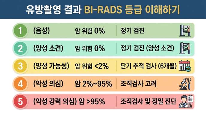 BI-RADS 분류 이해