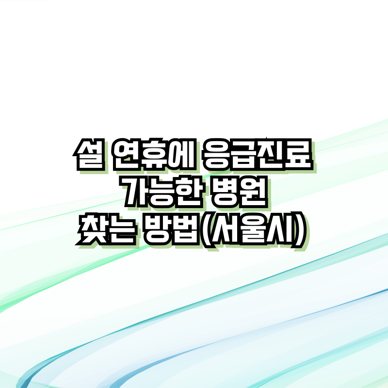 설 연휴에 응급진료 가능한 병원 찾는 방법(서울시)