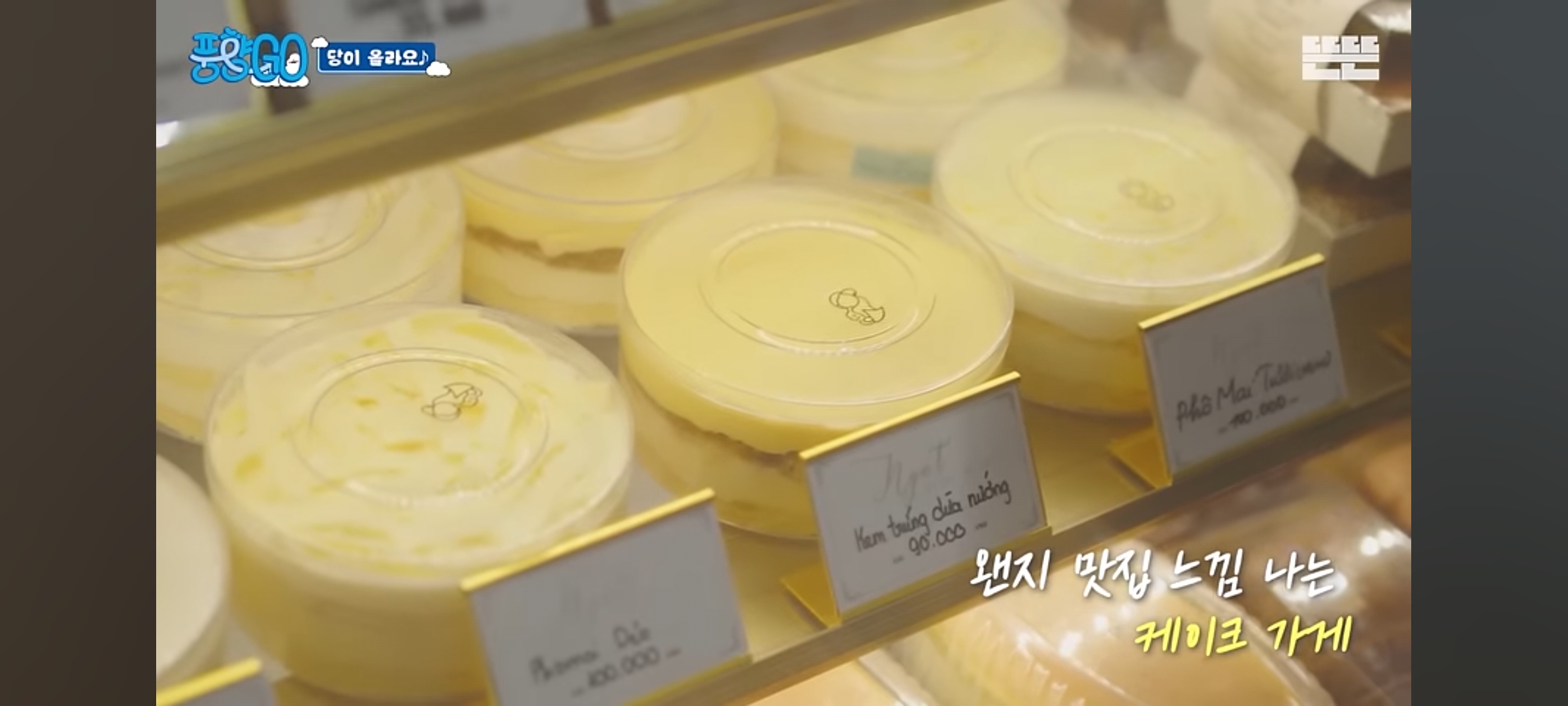풍향고