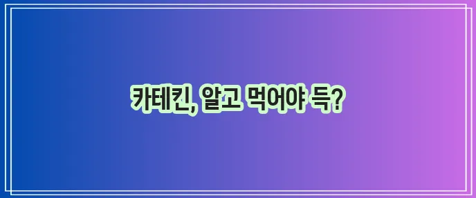 카테킨 효능 제대로 알고 올바르게 섭취해야 합니다