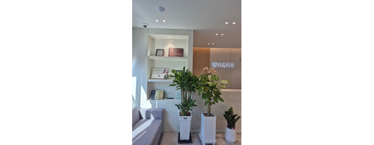 하동군 교정 치과