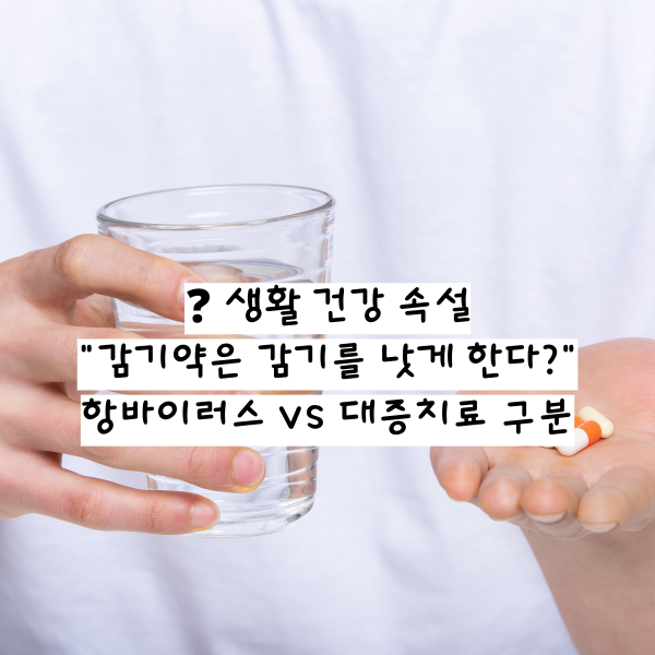 ❓ 생활 건강 속설 감기약은 감기를 낫게 한다 항바이러스 vs 대증치료 구분