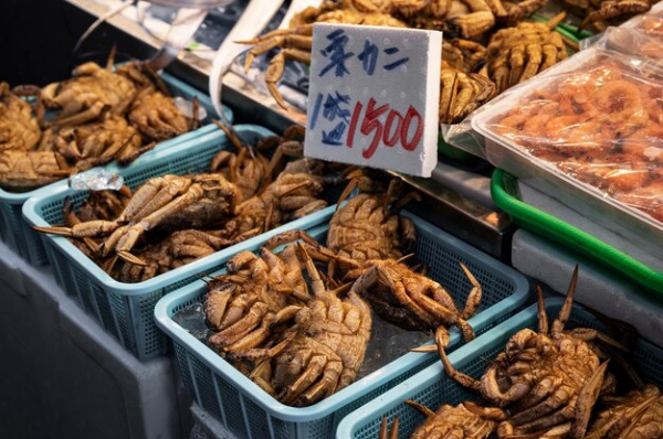대게 가격