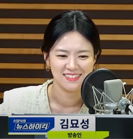 김묘성 기자 정치 성향 및 활동