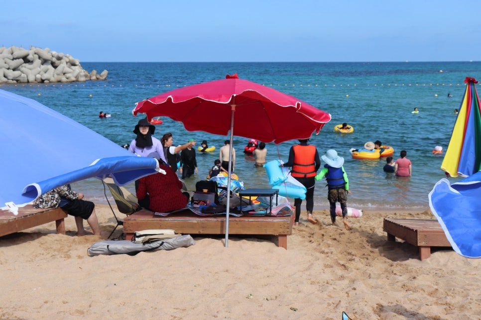 국내 해수욕장 개장일