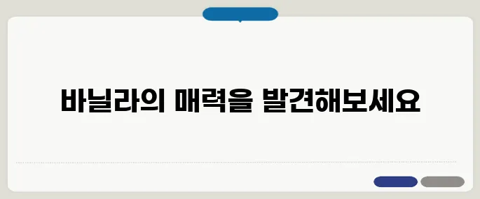 바닐라 향과 맛 제대로 즐기는 법