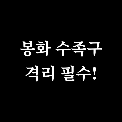 봉화군 소아과 진료 및 수족구 격리 ..