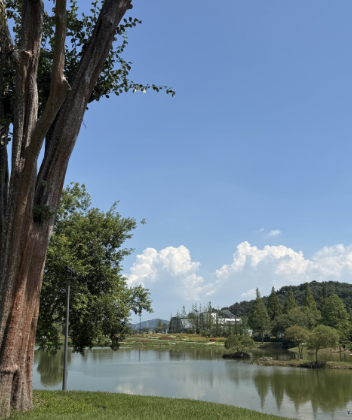 2025 추석연휴 전라남도 가볼만한 곳 BEST 5