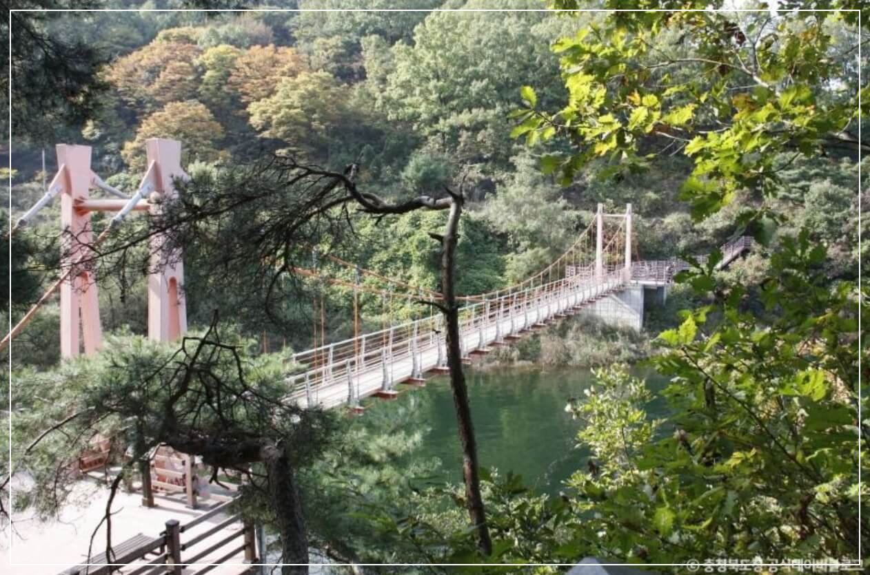 충주 가볼만한곳 베스트10 충주호 종댕이길 트레킹