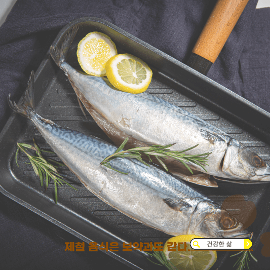 11월 제철 해산물