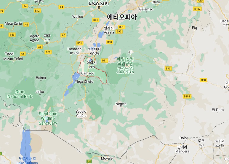 에티오피아 시다마 지역의 구글지도