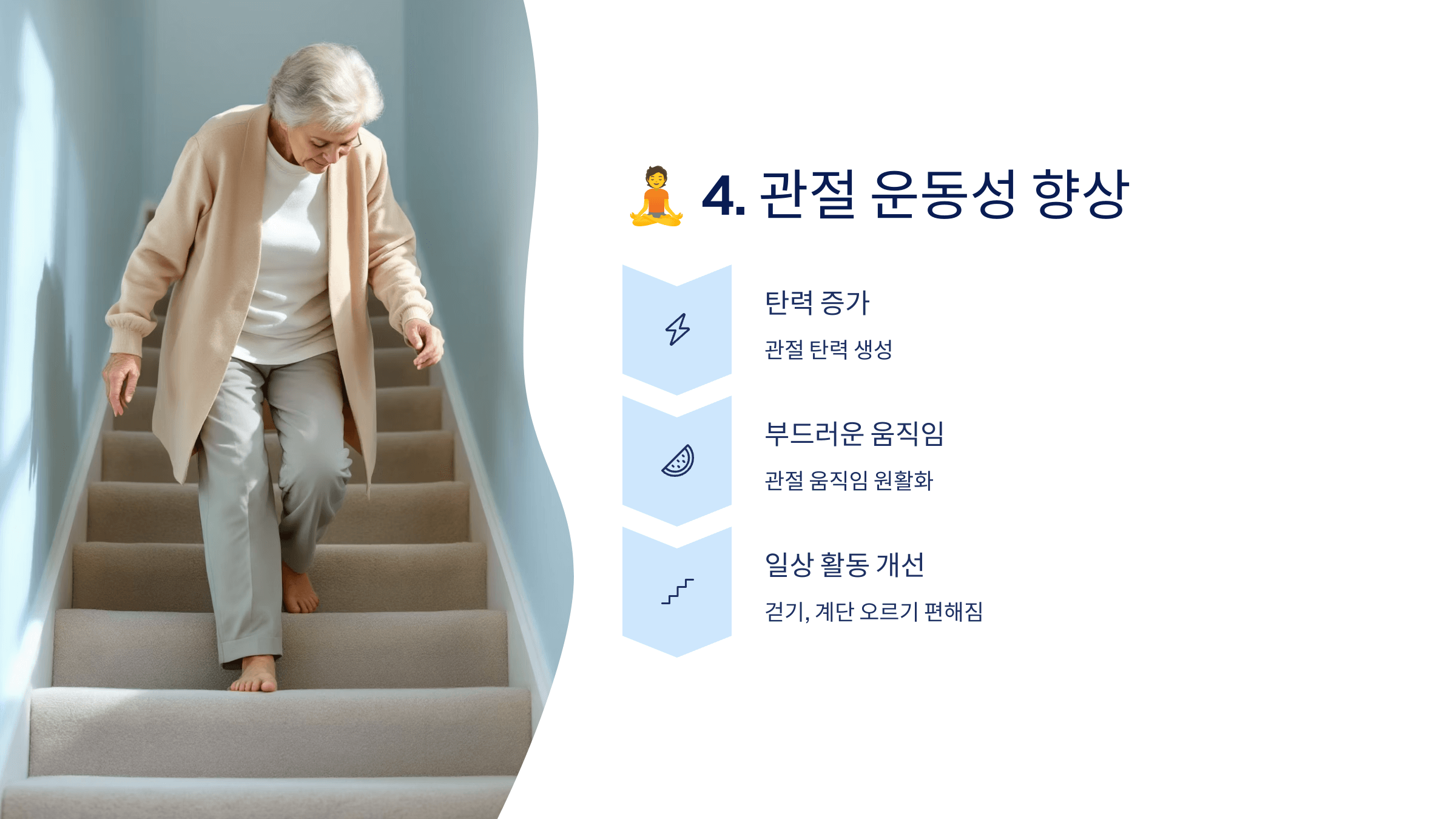 콘드로이친과 관련된 사진입니다.