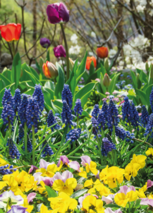 곤지암 화담숲 예약