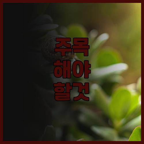 윈저 호텔 타이중 숙박 후기 조식 맛