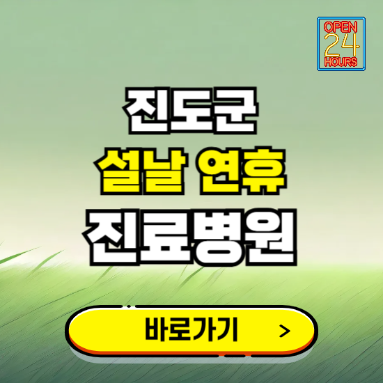 진도군 설날 연휴 진료병원 찾기 ❘ 24시 응급 야간 심야 문여는 병원