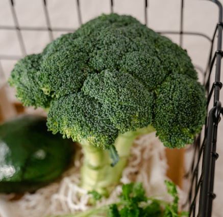 BMI지수 계산법 25 27 의미