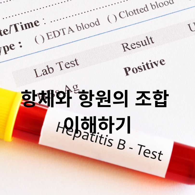 B형간염 항체 양성? 음성? 