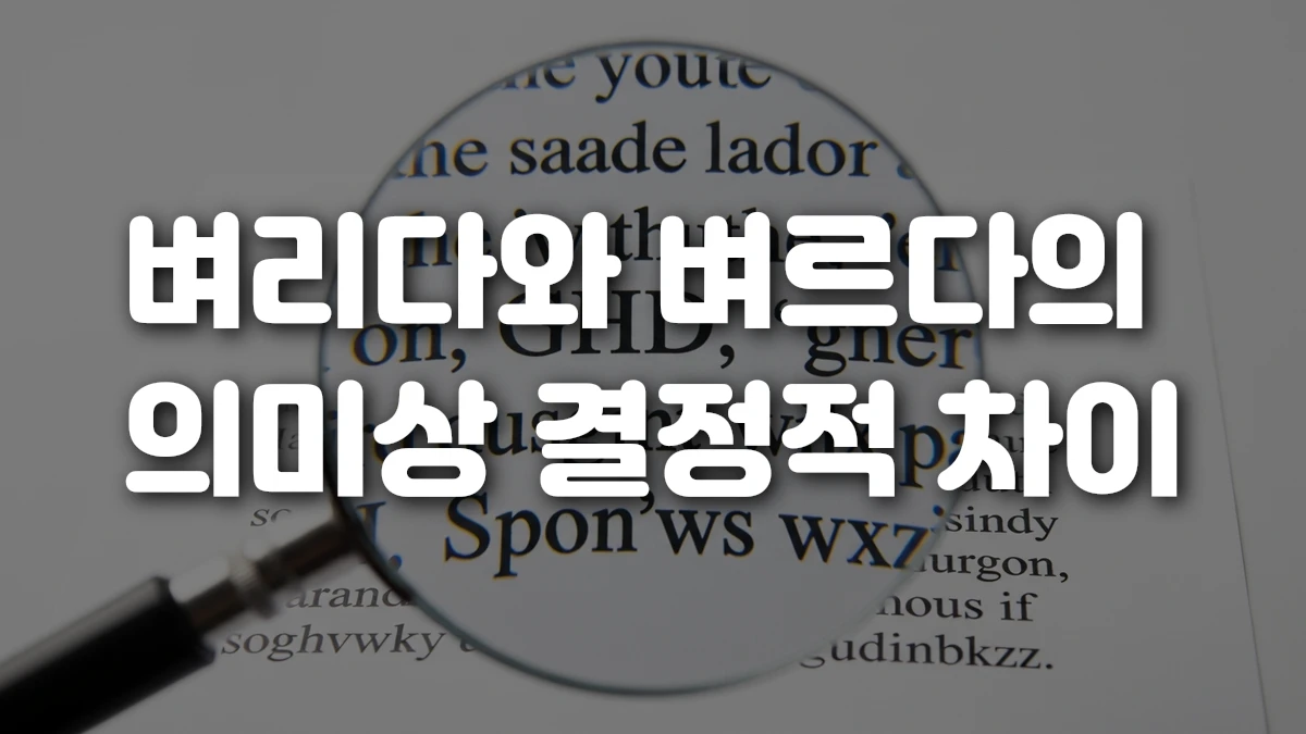 벼리다와 벼르다의 의미상 결정적 차이