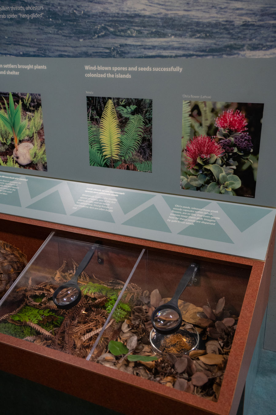 화산국립공원 방문자센터