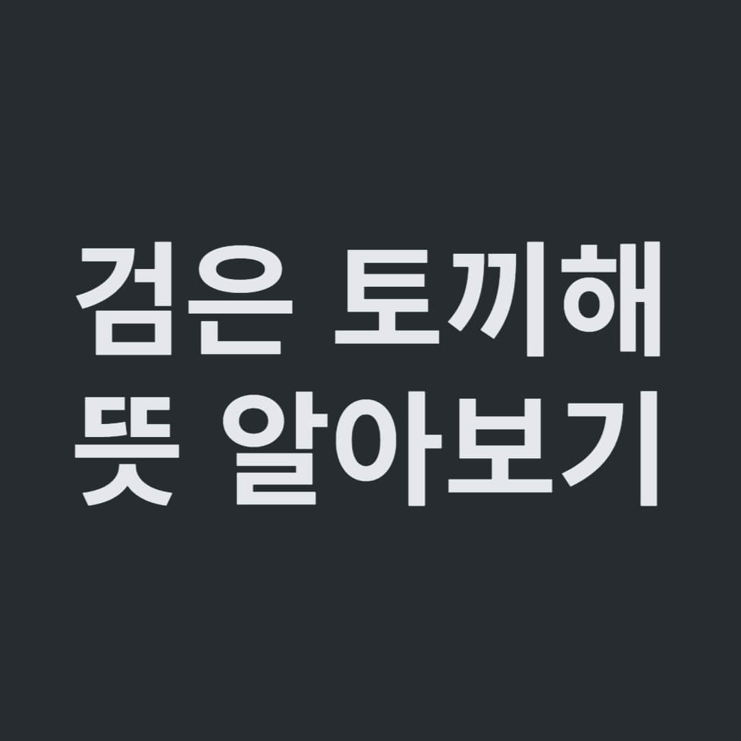 검은 토끼해