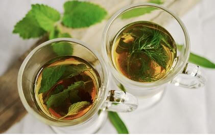 비염에-좋은-차3