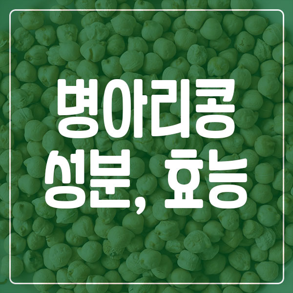 병아리콩 성분 효능 칼로리