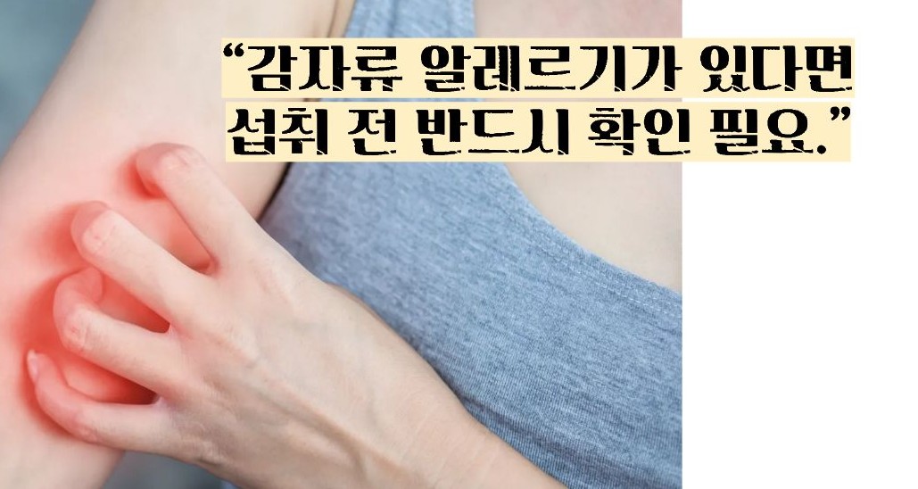 돼지감자차 효능과 부작용
