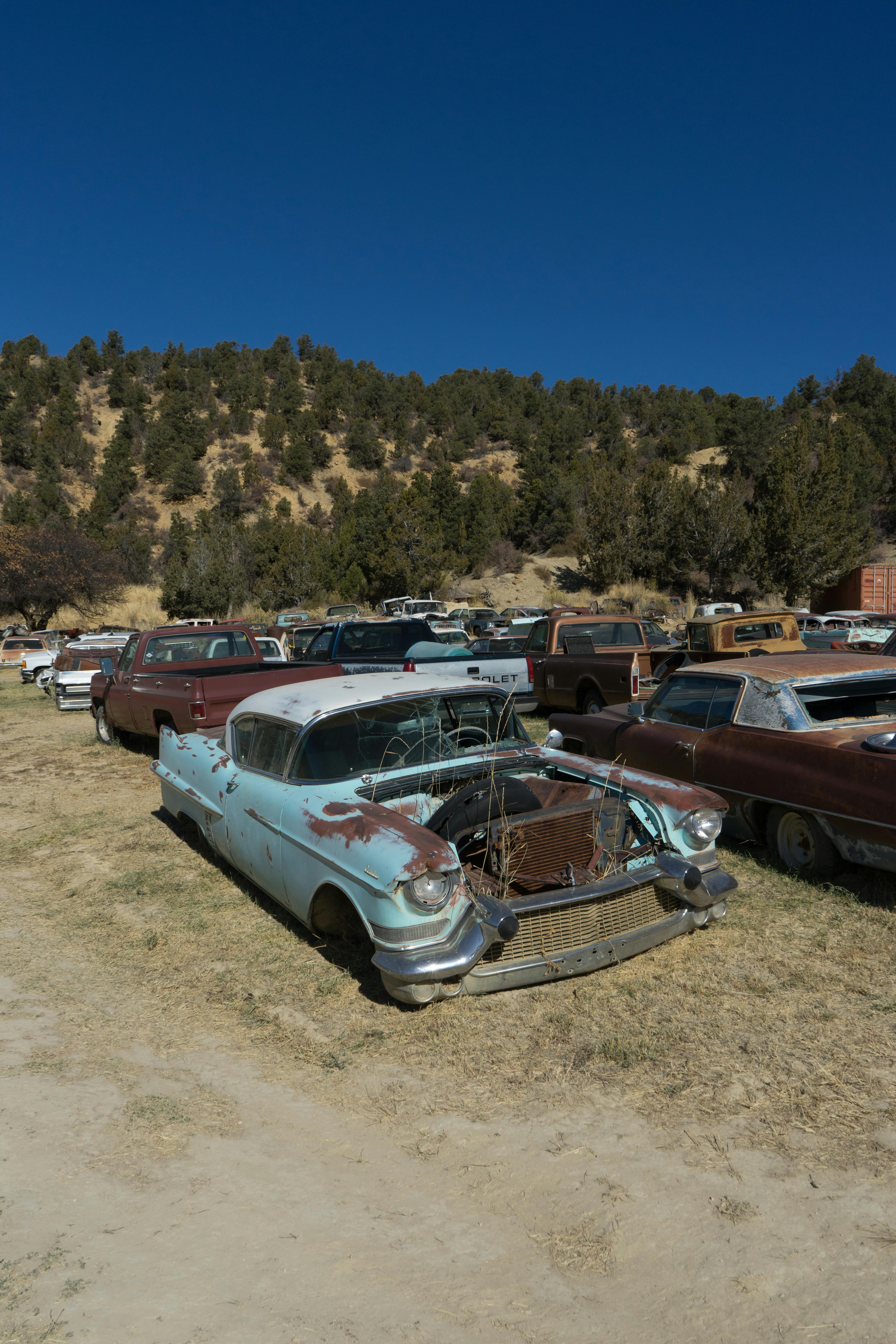 수원시 조기폐차지원금 대상차량조회 및 신청방법